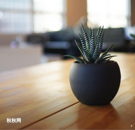 秋秋网