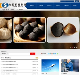 黑蒜发酵机