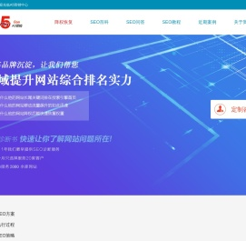 A5SEO诊断