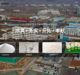 山东瑞丰高分子材料股份有限公司