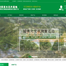 元宝枫