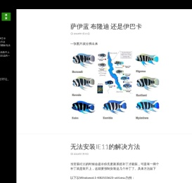 蓝色随心