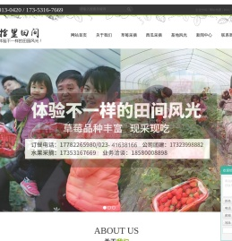 重庆草莓采摘