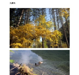 66盟购票平台