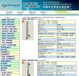 磁浮子液位计