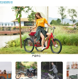 木箱车,三轮车,公共自行车,锂电车,宁波南洋车业有限公司