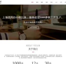 上海网站开发