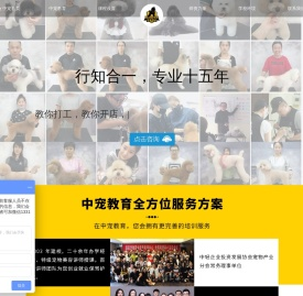 北京中宠教育培训