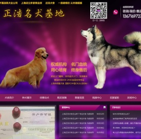正浩名犬基地