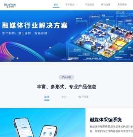 海南蓝点网络官网