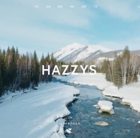HAZZYS