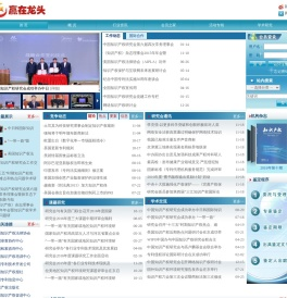 赢在龙头