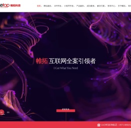 杭州网站建设