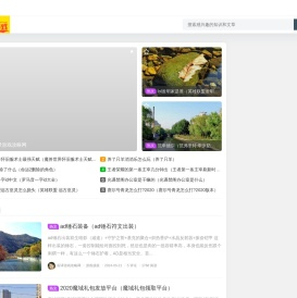 程译游戏攻略网