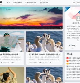交通知识