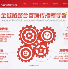 上海剧星传媒股份有限公司