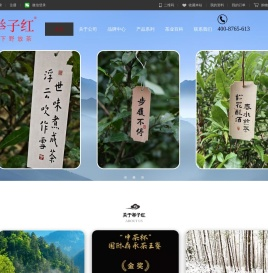 举子红官网