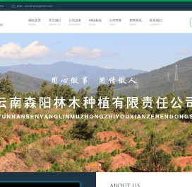 云南森阳