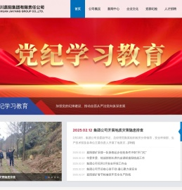 四川嘉阳集团有限责任公司