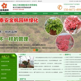 火焰南天竹