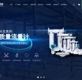 质量流量计
