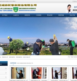 增城白蚁防治