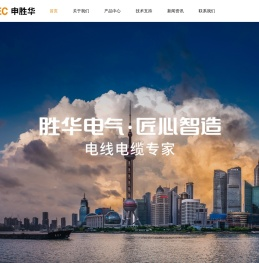 上海胜华电气股份有限公司