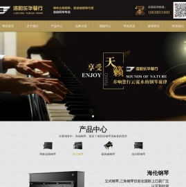洛阳琴行