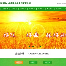 山东省梁山县徐曙生物工程有限公司