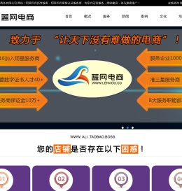 德州阿里巴巴托管,淘宝托管,网站建设,百度关键词优化推广,企业培训,大脑银行,德州蓝网电子商务有限公司