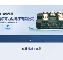 齐齐哈尔齐力达电子有限公司