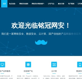 网络安全服务