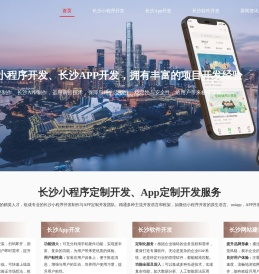 合肥软件公司