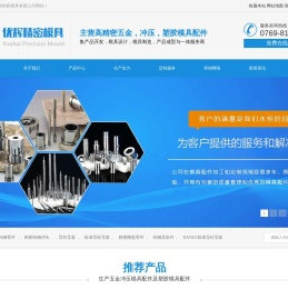 精密钨钢冲头