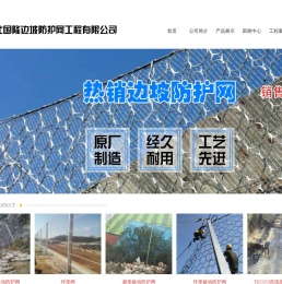环形网
