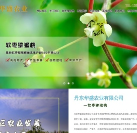 软枣苗
