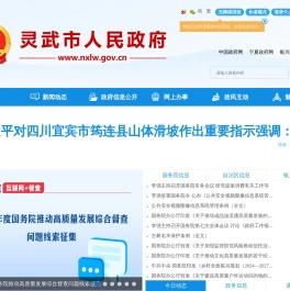 灵武市人民政府
