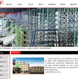 吊装带