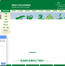 甲鱼