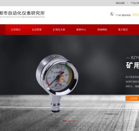 邯郸市自动化仪表研究所