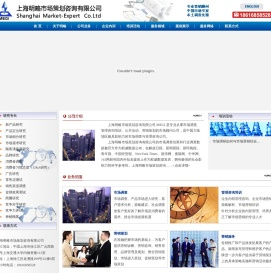 上海明略市场策划咨询有限公司