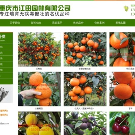 重庆水果苗木批发