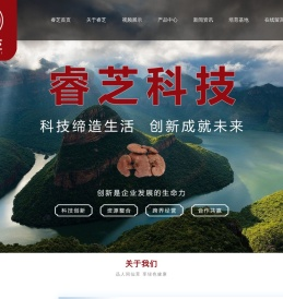 连云港睿芝科技发展有限公司
