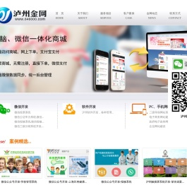 泸州金网简介,泸州网站建设,泸州网络公司,泸州网站制作,泸州微信网站,泸州手机网站