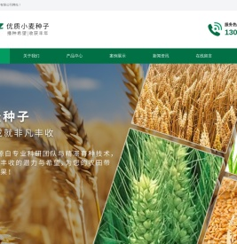 错误信息