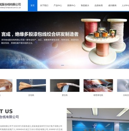 深圳言成复合线有限公司
