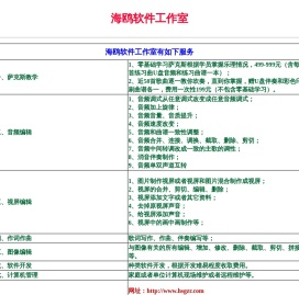 海鸥软件工作室