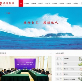 苏商集团