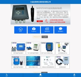 大连欣美特仪表科技有限公司