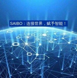 SAIBO：连接世界